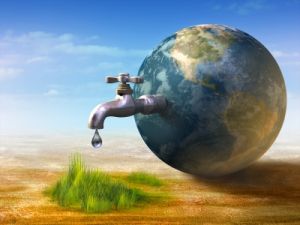 lifeandearth